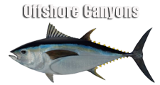 Off Shore Canyons