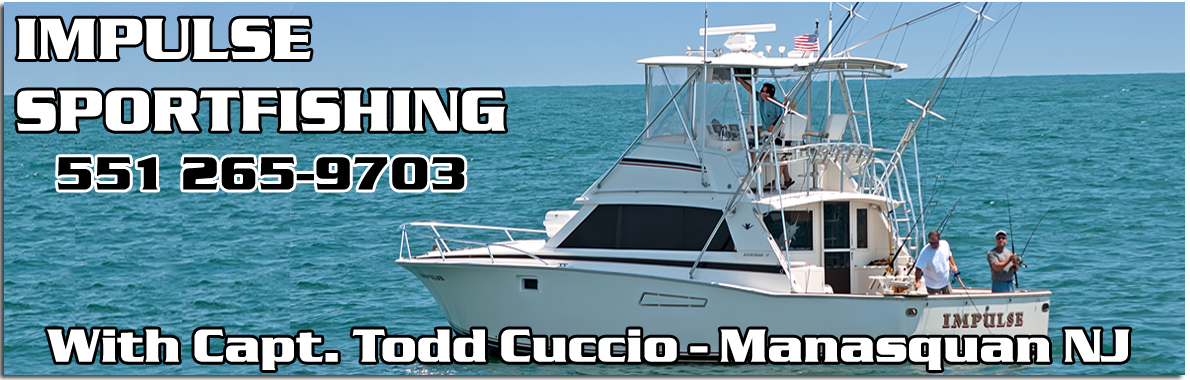 Piont Pleasant Fishing Charter Boat