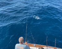 301559507 5131526976970459 n